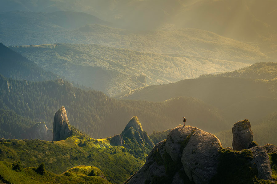 Gratitude: the secret to success