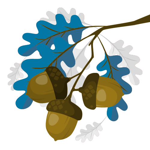 Visually Appealing graphic art of acorns and oak leaves