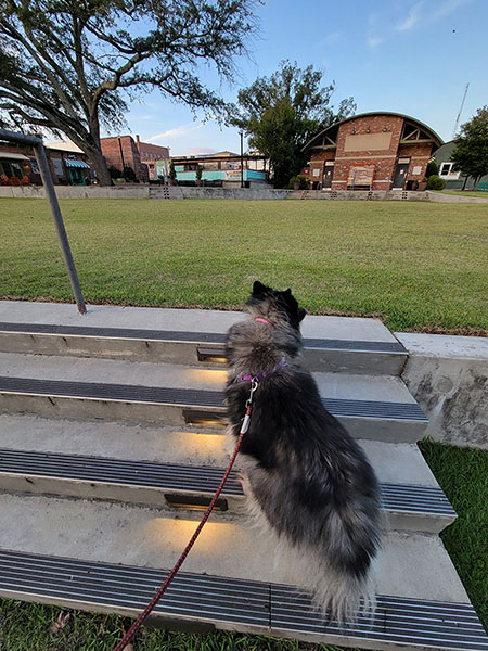 Are we a Great Fit for Each Other 6 Indy and I walking near the Ritz Ampitheater in Downtown Thomasville GA